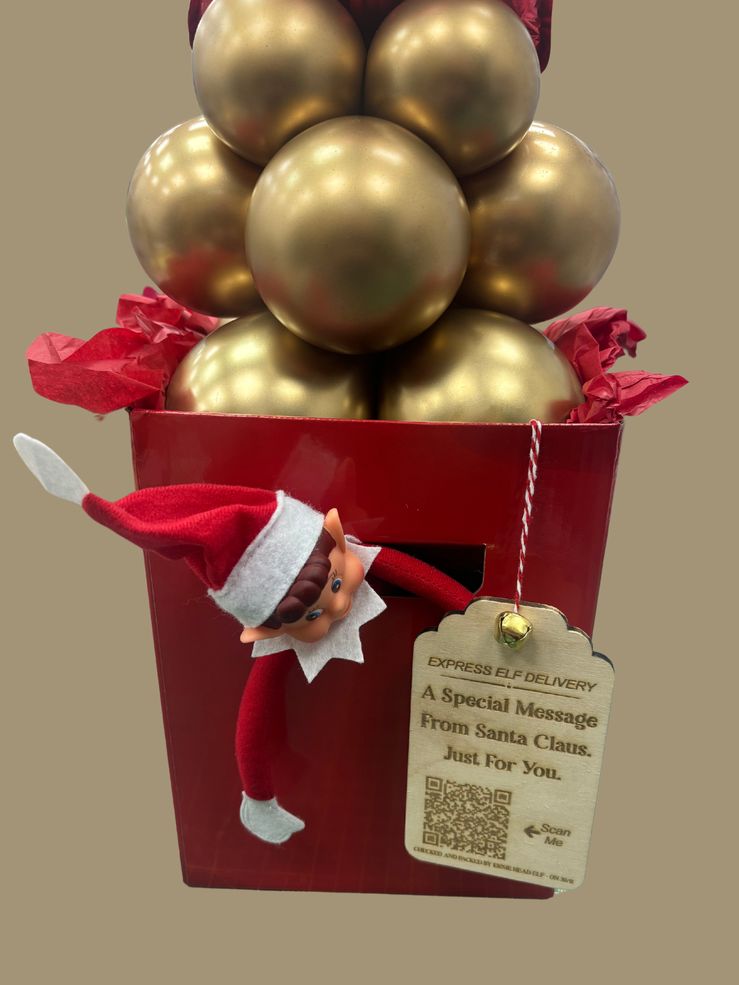 Interactive Elf Express Delivery Engraved Wooden Tags & Video Message