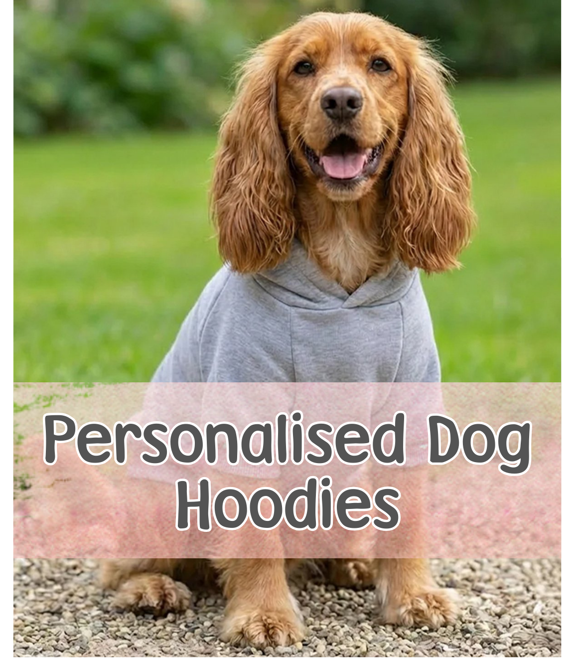 Personalised Dog Hoodie with Embroidery – Custom Pet Name Hoodie - CreationPartyShop