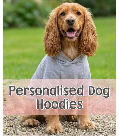 Personalised Dog Hoodie with Embroidery – Custom Pet Name Hoodie - CreationPartyShop