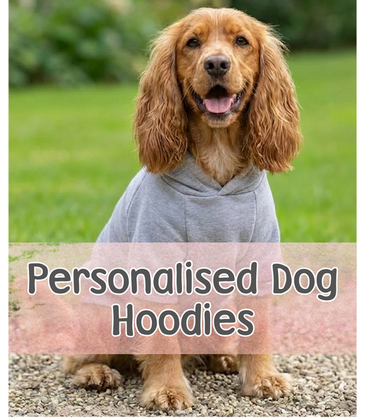 Personalised Dog Hoodie with Embroidery – Custom Pet Name Hoodie - CreationPartyShop