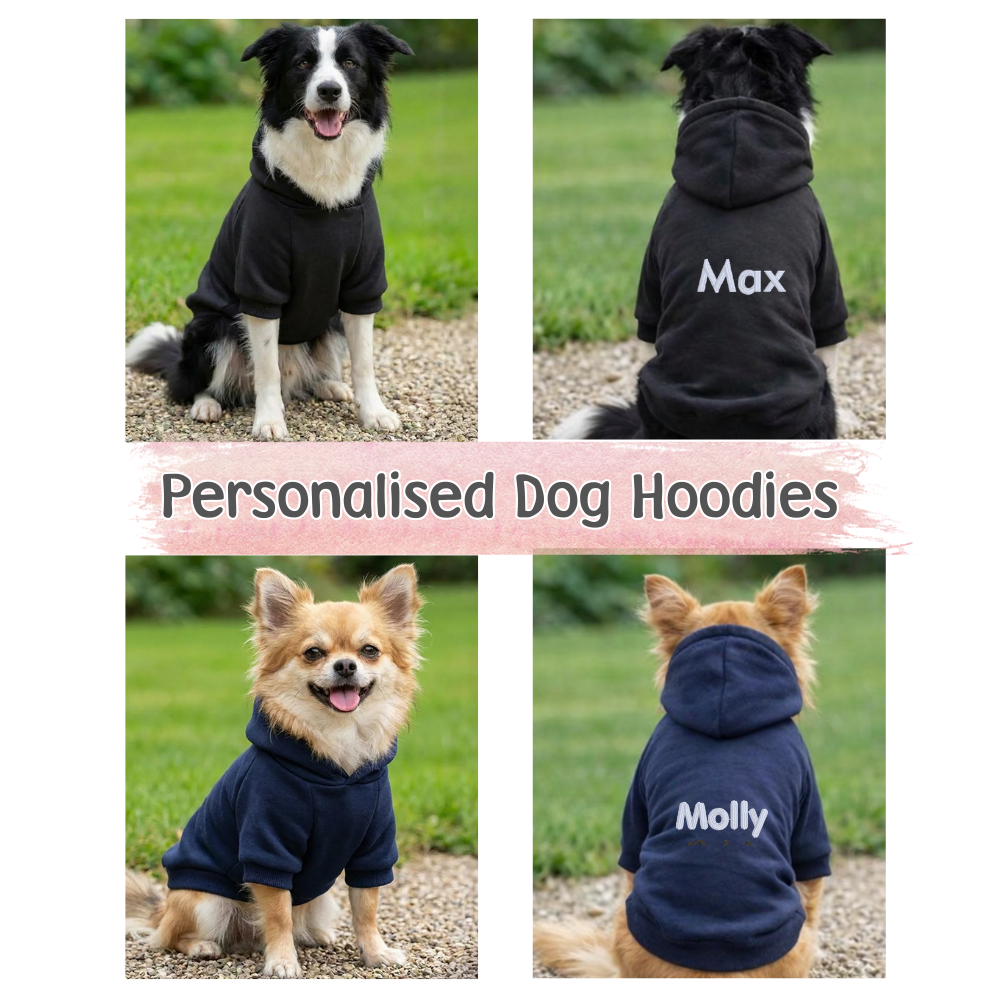 Personalised Dog Hoodie with Embroidery – Custom Pet Name Hoodie - CreationPartyShop
