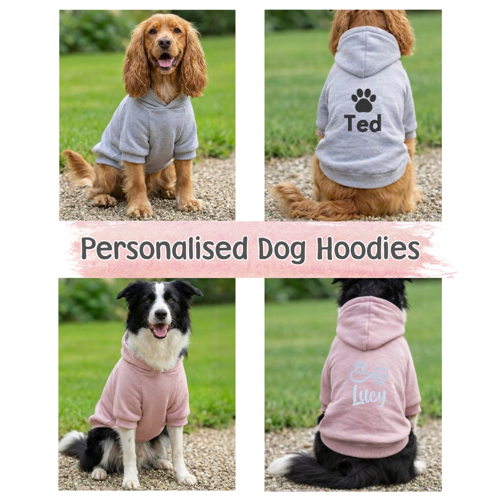 Personalised Dog Hoodie with Embroidery – Custom Pet Name Hoodie - CreationPartyShop