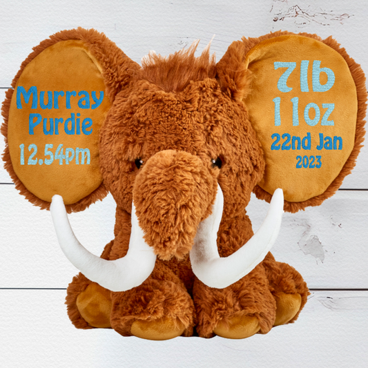 Meet Maximus the Mammoth Bear our cuddly teddy bear who has a brown, furry body, large fluffy ears, a trunk, large white tusks and small, black eyes.